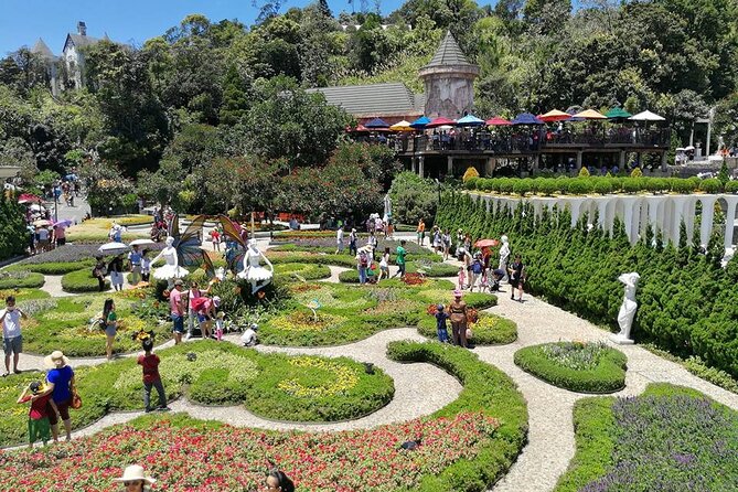 Ba Na Hills - Golden Hand Bridge Full Day Tour - The guide can make or break the experience