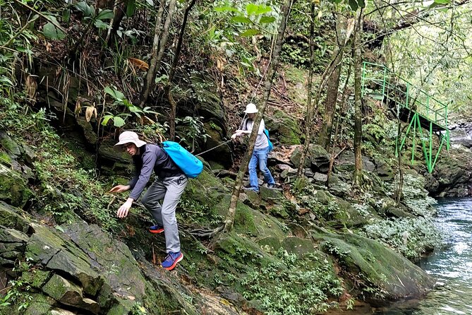 Bach Ma National Park trekking daily tour from Da Nang, Hoi An - Hai Vong Dai at 1,450 meters