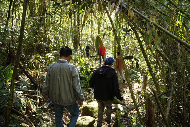 Bach Ma National Park trekking daily tour from Da Nang, Hoi An - Picnic lunch beside the forest water