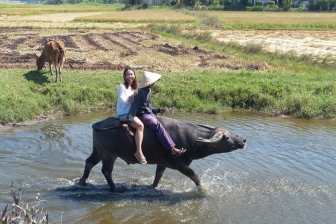 Buffalo Riding and basket boat tour from Da Nang/ Hoi An - Paddling through Cam Thanh’s water coconut forest
