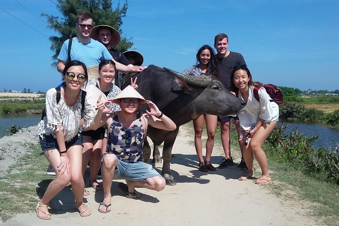 Buffalo Riding and basket boat tour from Da Nang/ Hoi An - Who will enjoy this tour most?