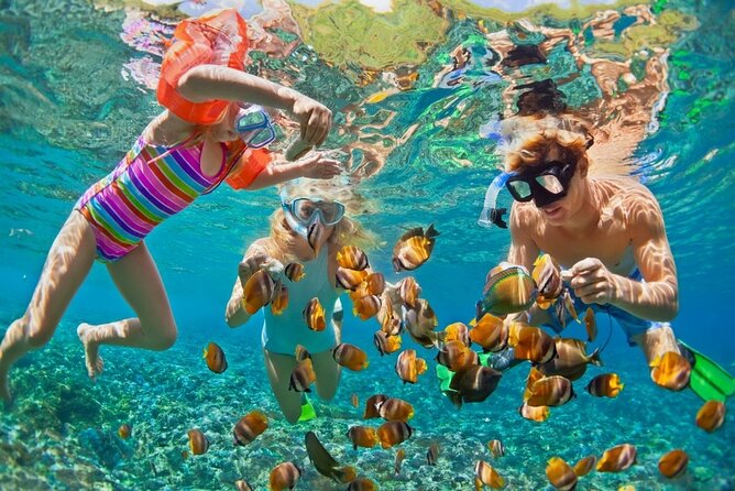 Cham Island Daily-Snorkeling(Optional:Pick up at Cua Dai Port) - Key points at a glance