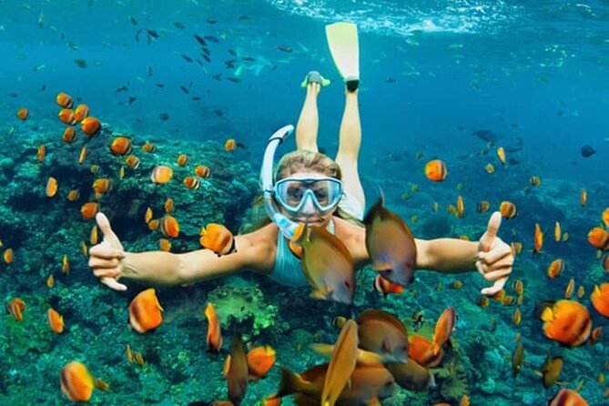 Cham Island Daily-Snorkeling(Optional:Pick up at Cua Dai Port) - The speedboat crossing and what it means