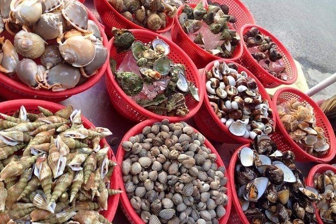 Cham Island Day Tour & Snorkeling from Da Nang with Group tour - The early transfer from Da Nang to Cua Dai Harbour