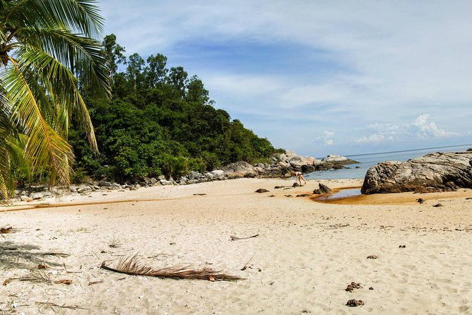 Cu Lao Cham Island Tour from Da Nang/ Hoi An - The return ride to Da Nang