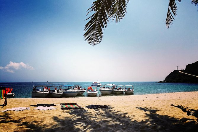 Cu Lao Cham Island Tour from Da Nang/ Hoi An - The early pickup from Da Nang or Hoi An