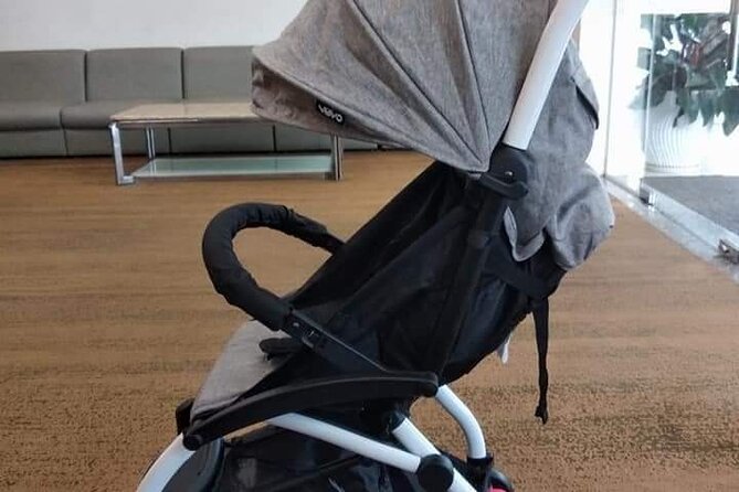 Da Nang Baby Stroller/Safety Car Seating or Wheel Chair Rental - Who should book this service