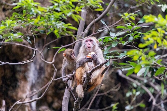 Da Nang City Tour 1 Day- Private Tour - Climbing through the Marble Mountains