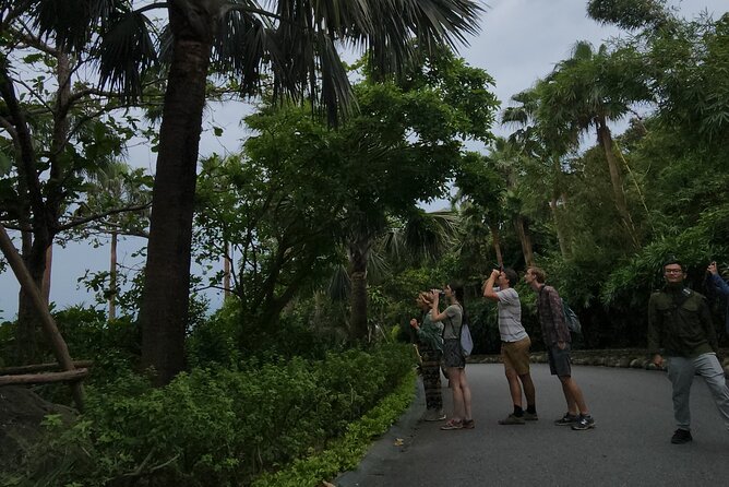 Endangered Monkeys Watching - Red Shanked Douc Langurs - The motorbike question: fun for some, not for everyone