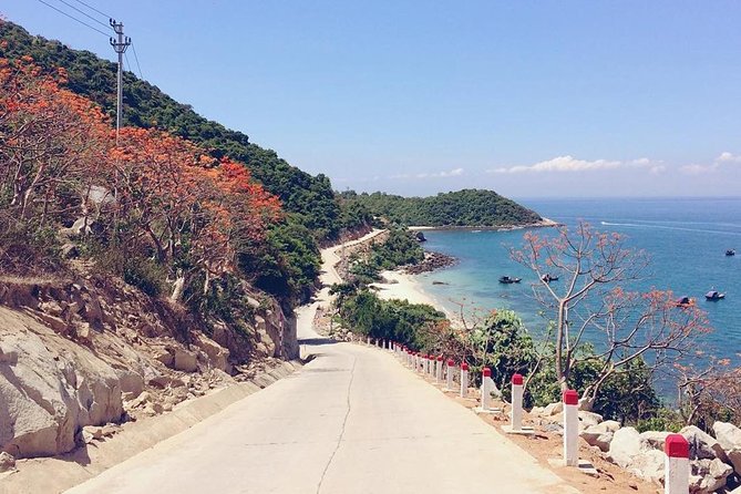 From Da Nang/ Hoi An: Cham Island Day Tour with snorkeling fun - What the $25 price really buys you