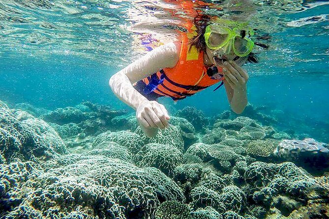 From Da Nang/ Hoi An: Cham Island Day Tour with snorkeling fun - Where the organization can lose its rhythm