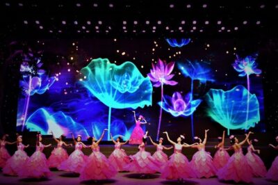 2026 Charming Da Nang Show Ticket with Hotel Pickup