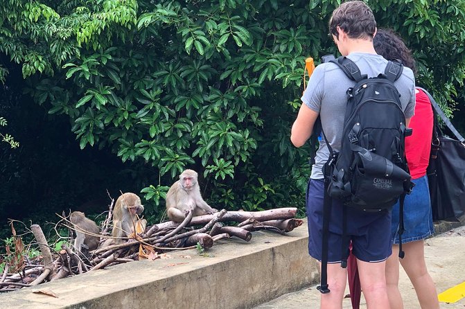 Golden Bridge, Monkey Mt, Marble – Private Car (EN Driver) - Son Tra Mountain: a brief coastal pause at Monkey Mountain