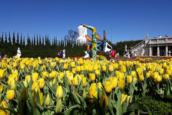 Golden Hand Bridge And Ba Na Hills tour from Hoi An/ Da Nang - Fantasy Park is best for families and casual fun