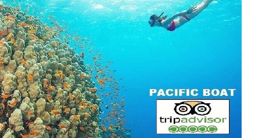 Hoi An/Da Nang: Snorkelling & Island-Hopping Speedboat Tour - Two reefs, one beach, and very little filler