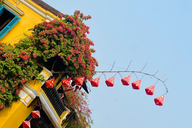 Hoi An Day Trip From Da Nang with Coconut Forest and Hoi An Town. - Timing, comfort, and possible snags