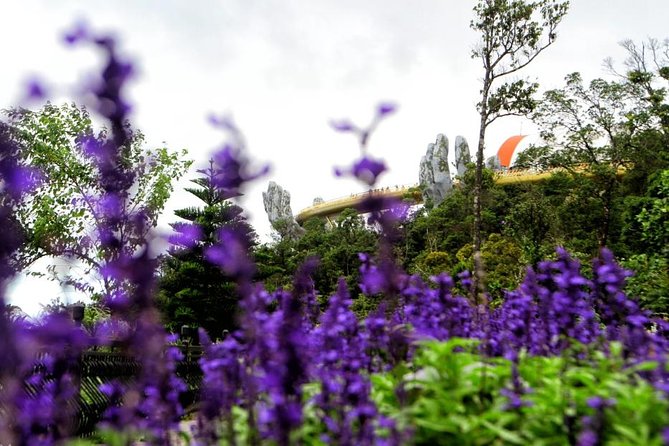 Hoi An to Ba Na Hills Private Car Transfer - Why a private car makes sense for Ba Na Hills