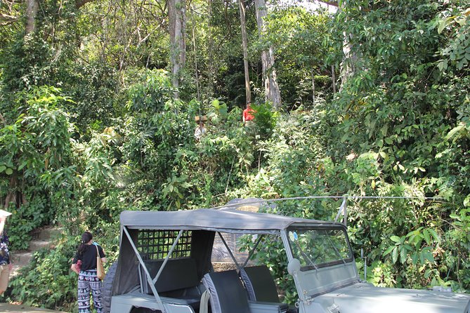 Jeep Tour Monkey Mountain & Son Tra Peninsula 3Hr - The old heliport and Son Tra’s forgotten road