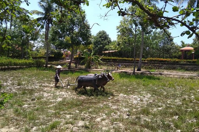 MY LAI MASSACRE Tour from Hotel in Da Nang City or Hoi An City ( Private Tour ) - Booking and Cancellation Details