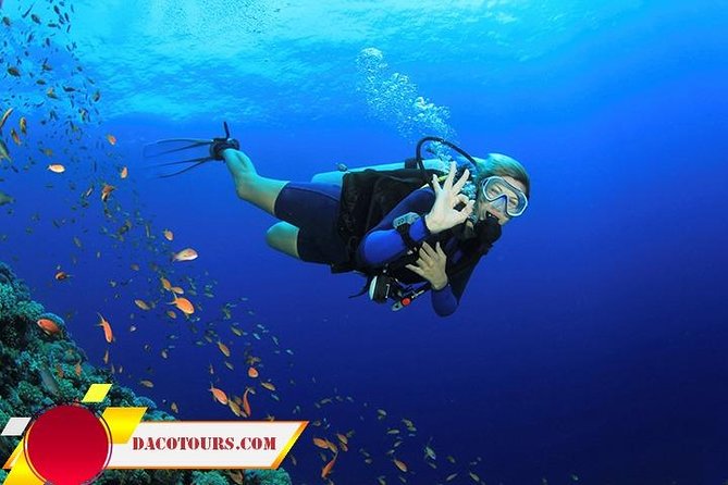 Private Cham Island Snorkeling Tour, Nice Beach, Fishing villages - The fast boat from Cua Dai Port
