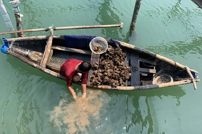 Vietnam/Lang Co Oyster Tour by Fishing & Tasting Oyster Flavors - Key points to know before booking