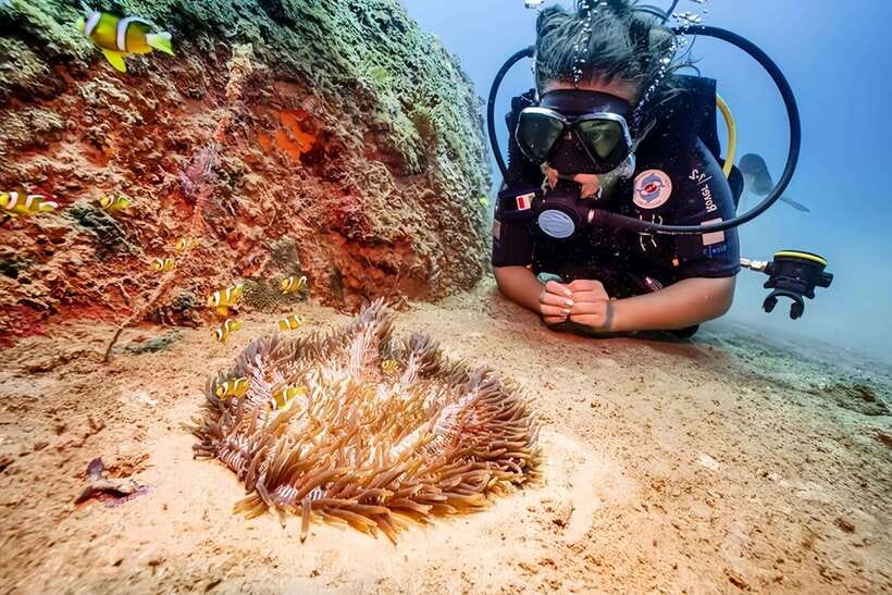 Visit Cham Islands & Snorkelling & Scuba Diving - From Hoi An to Cham Island by road and speedboat