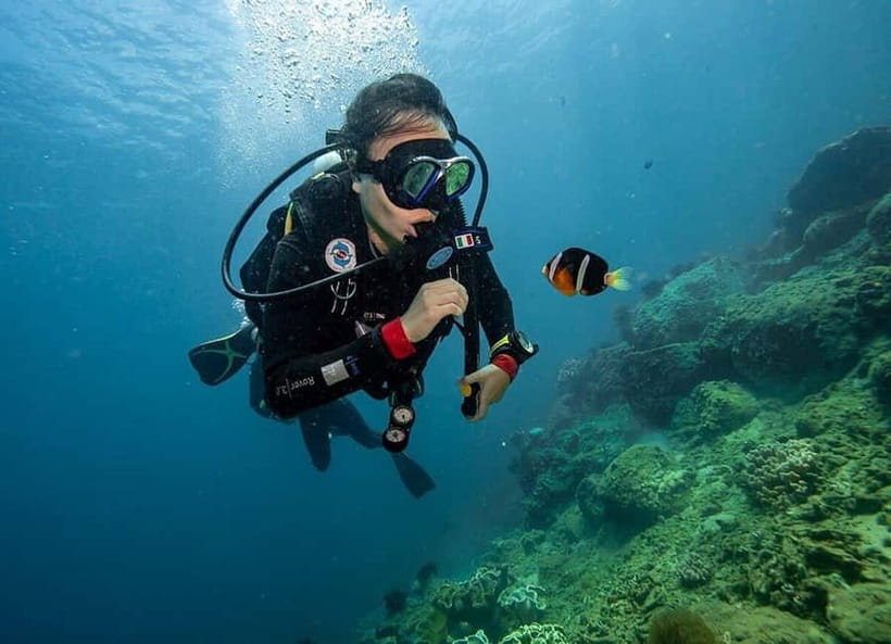 Visit Cham Islands & Snorkelling & Scuba Diving - Seafood lunch and the afternoon pause
