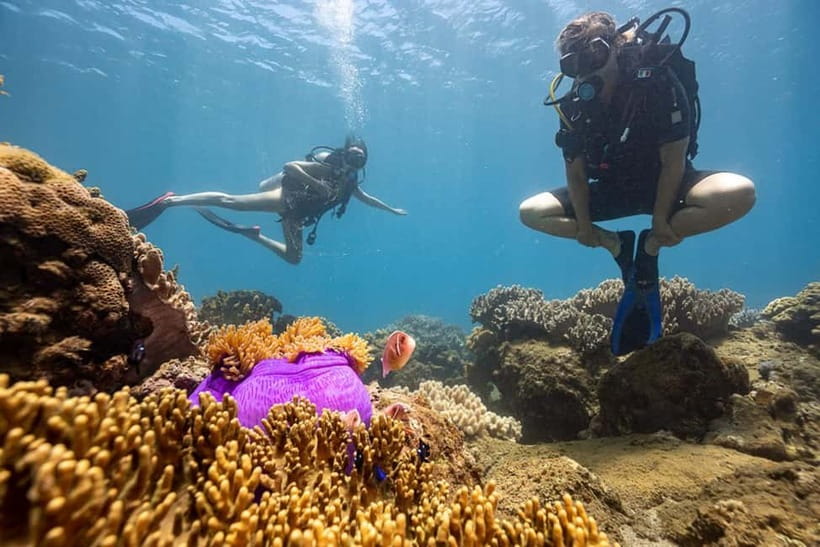 Visit Cham Islands & Snorkelling & Scuba Diving - Who will enjoy this island day most