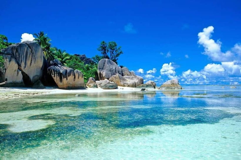 Visit Cham Islands & Snorkelling & Scuba Diving - Lang Island and the marine display